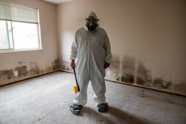 Biohazard Mold Removal in Fredonia, KS